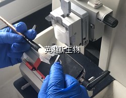 切片机_wm.jpg