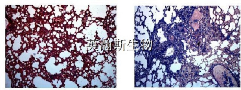 图片2_wm.jpg