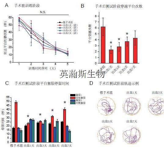 图片3_wm.jpg