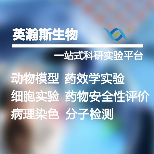 公司业务介绍.jpg