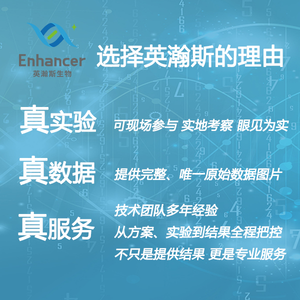 选择英瀚斯的理由.jpg