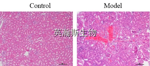 图片1_wm.jpg