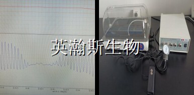 无创血压仪_wm.jpg