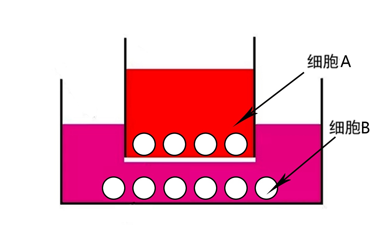 1683599334571106.jpg