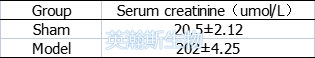 尿毒症结果.png